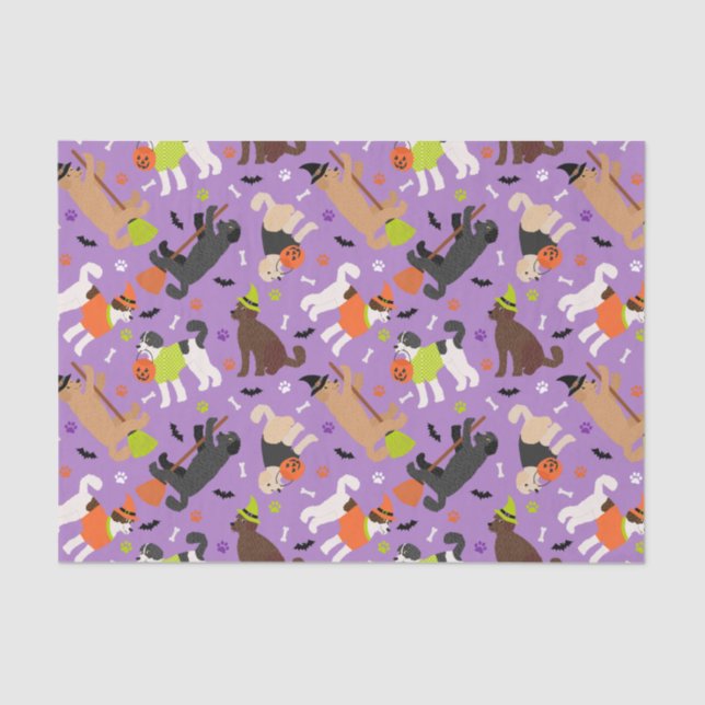 Halloween Labradoodle / Goldendoodle Tissue Paper (Front)