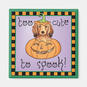 Halloween Longhaired Dachshund Magnet
