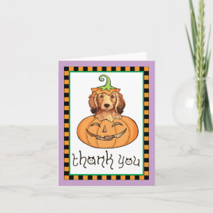 Halloween Longhaired Dachshund Thank You Card