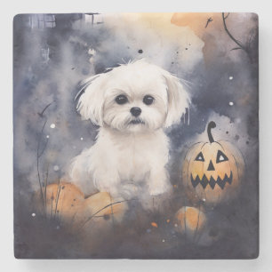Halloween Maltese With Pumpkins Scary  Stone Coaster