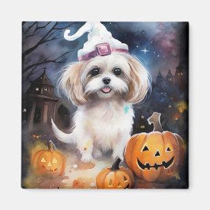 Halloween Malti Tzu With Pumpkins Scary Magnet