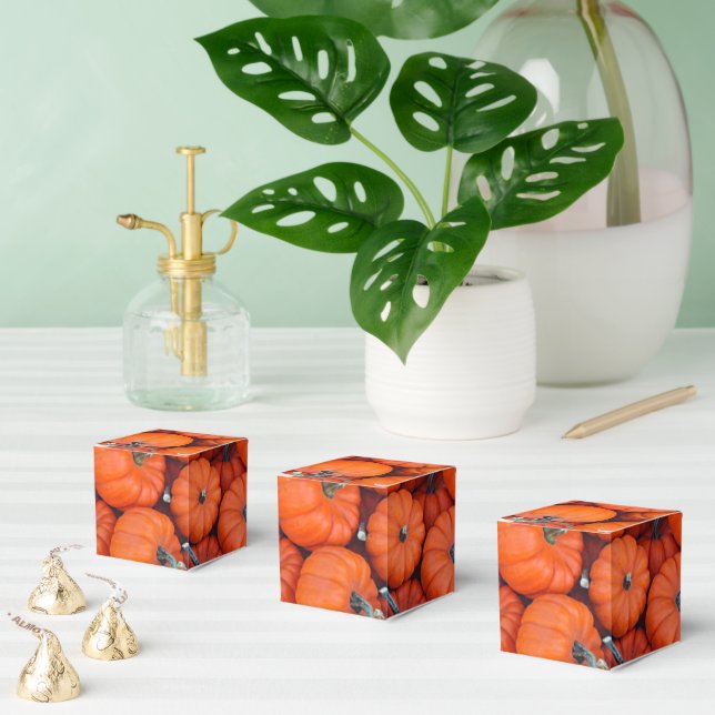 Halloween Mini Pumpkin Fall Autumn Pattern Photo Favour Box (Multiple)