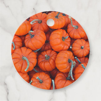 Halloween Mini Pumpkin Fall Autumn Pattern Photo Favour Tags