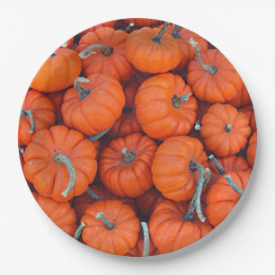 Halloween Mini Pumpkin Fall Autumn Pattern Photo Paper Plate