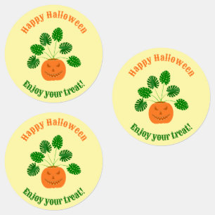 Halloween Monstera Plant in Pumpkin Custom