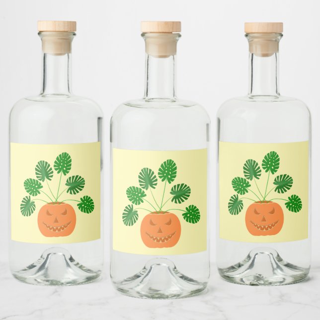 Halloween Monstera Plant in Pumpkin Liquor Bottle Label (Bottles)