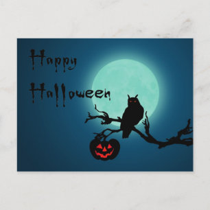 Halloween Night Pumpkin Owl Postcard
