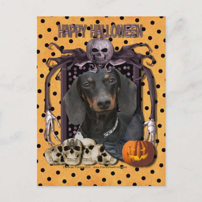 Halloween Nightmare - Dachshund - Winston Postcard (Front)