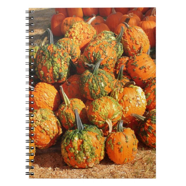 Halloween Notebook (Front)