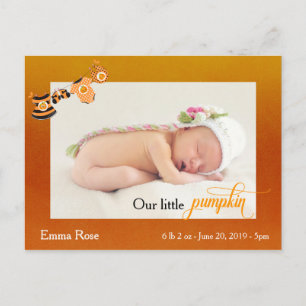 Halloween October Pumpkin Birth Announcement Postcard