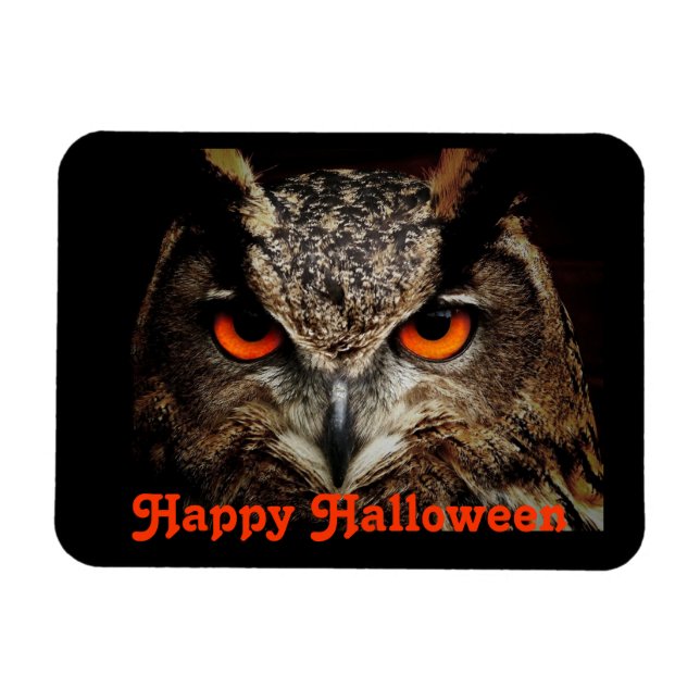 Halloween Owl Magnet (Horizontal)