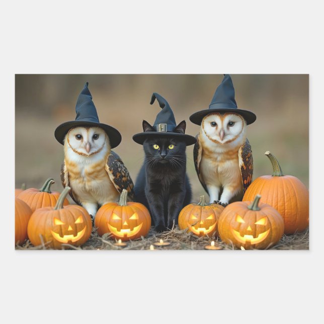  Halloween Owls and Black Cat Jack O Lantern Rectangular Sticker (Front)