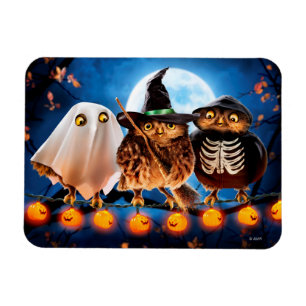 Halloween Owls Magnet