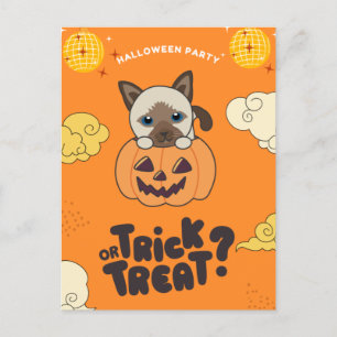 Halloween Party Trick Or Treat Siamese Cat Pumkin Holiday Postcard