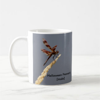Halloween Pennant Mug
