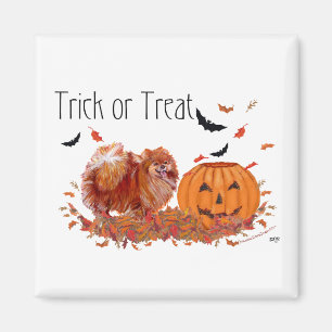 Halloween Pomeranian Magnet