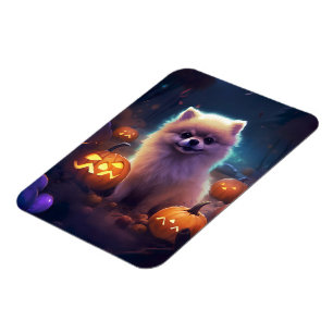 Halloween Pomeranian With Pumpkins Scary Magnet