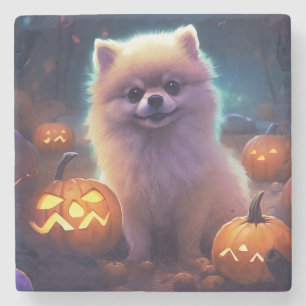 Halloween Pomeranian With Pumpkins Scary  Stone Coaster