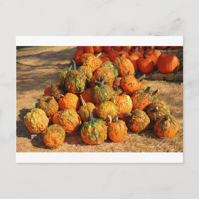 Halloween Postcard (Front)