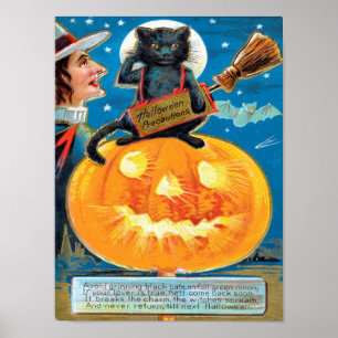Hallowe'en Precautions Poster