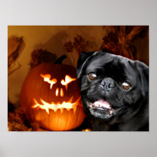 Halloween Pug Dog Poster