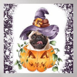 Halloween Pug in Jackolantern Poster 