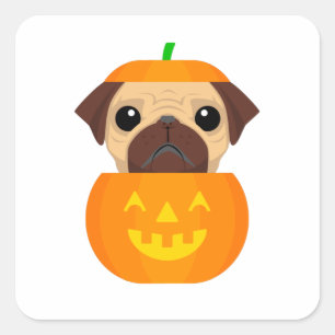 Halloween Pugkin Square Sticker