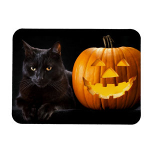 Halloween pumpkin and black cat magnet