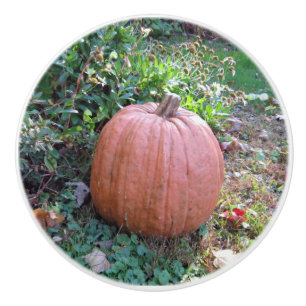 Halloween Pumpkin Ceramic Knob