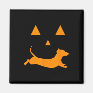 Halloween Pumpkin Dachshund Jack-o-lantern  Costum Magnet