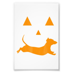 Halloween Pumpkin Dachshund Jack-O-Lantern Costum Photo Print