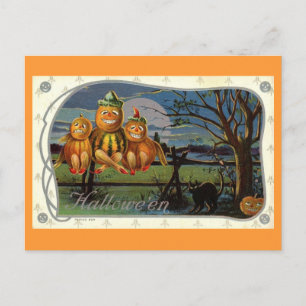 Halloween Pumpkin Men Fantasy Vintage Postcard