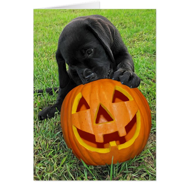 Halloween Pumpkin Puppy  - Black Lab (Front)
