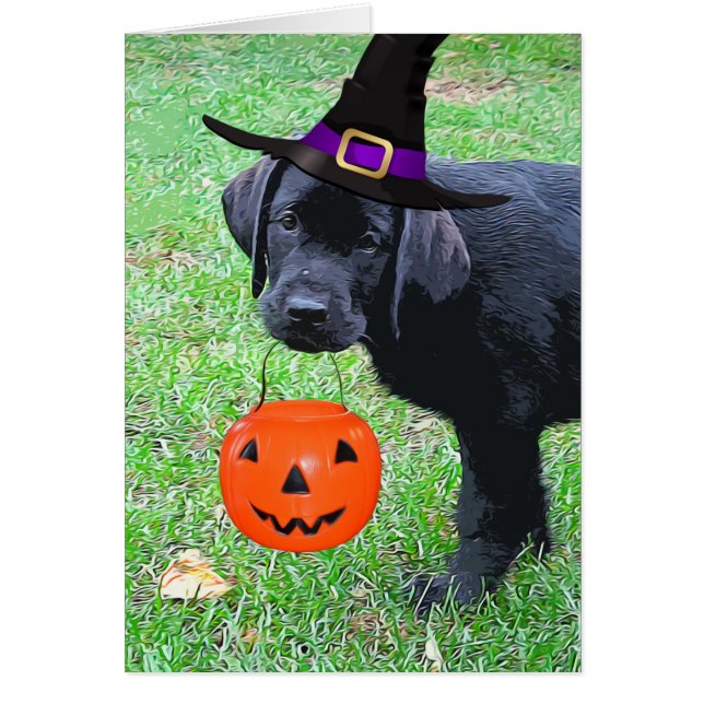 Halloween Pumpkin Puppy  - Black Lab (Front)
