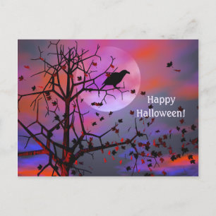 Halloween Raven Night Postcard