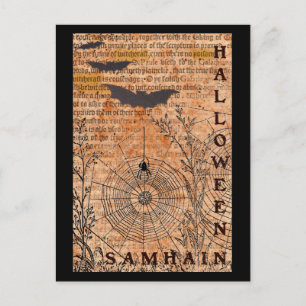 Halloween Samhain Spider Webs Postcard