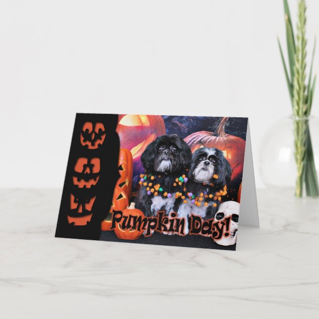 Halloween - Shih Tzu - Ruffles Riley Card (Front)