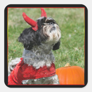 Halloween Shih Tzu Square Sticker