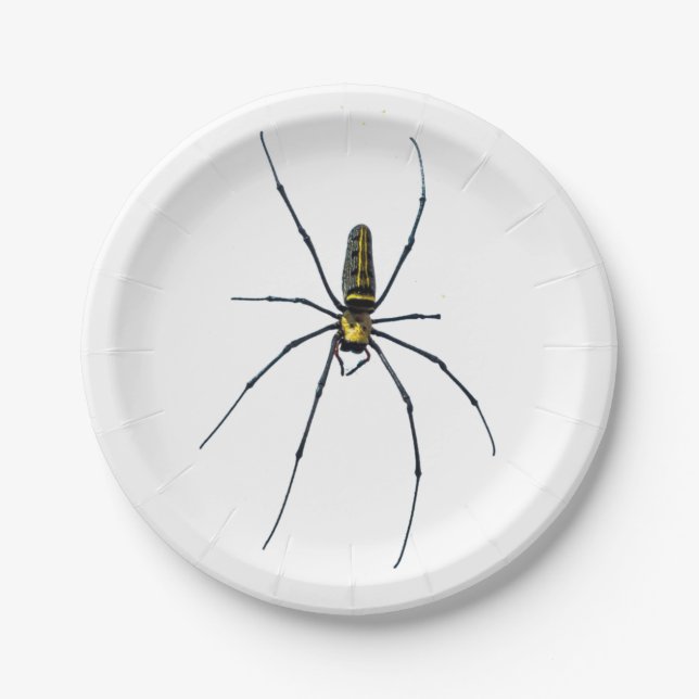 Halloween Spider Paper Plate (Front)