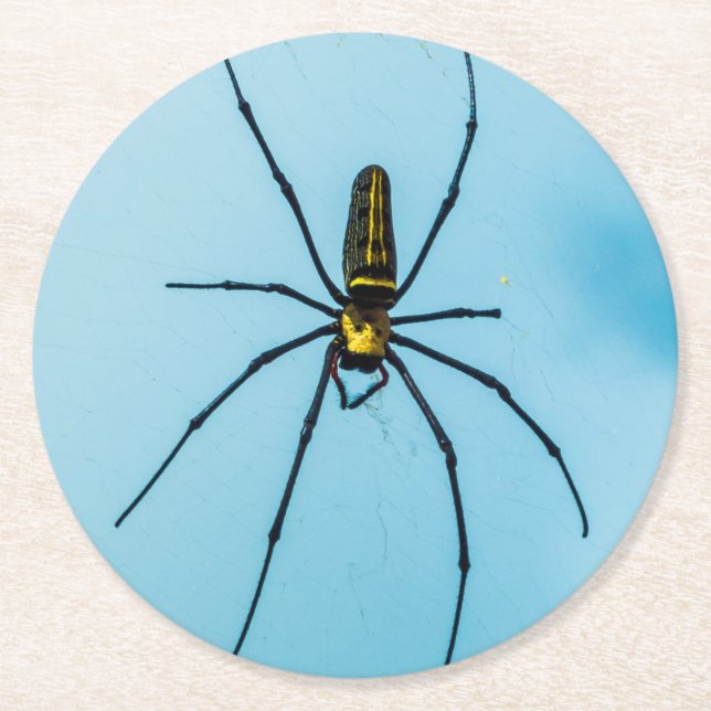 Halloween Spider  Round Paper Coaster (Front)