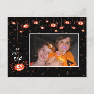 Halloween Spiders and Web Photo Postcard