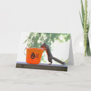 Halloween Squirrel Card