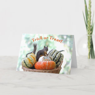 Halloween Squirrel Card