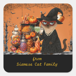 Halloween themed for Cat Lovers with candies Squar Square Sticker