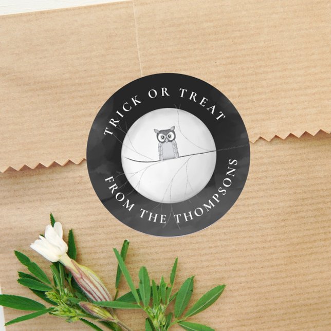 Halloween Trick Or Treat Spooky Scary Owl  Classic Round Sticker (Creator Uploaded)