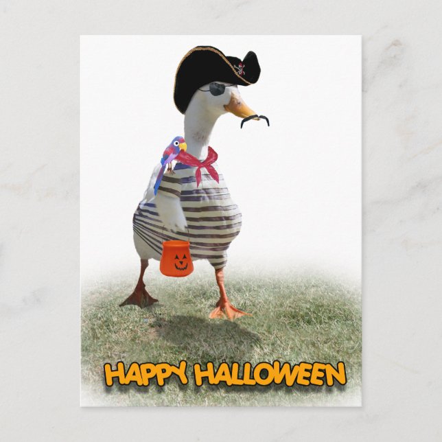 Halloween Trick or Treating Pirate Duck Postcard (Front)