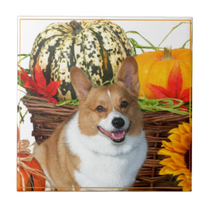 Halloween Welsh Corgi dog Tile