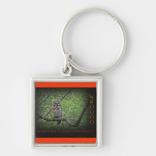 Halloween Wishies -  Barred Owl Key Ring (Front)
