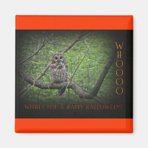 Halloween Wishies - Barred Owl Magnet