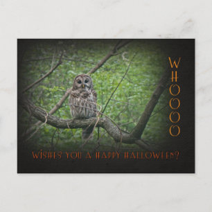 Halloween Wishies -  Barred Owl Postcard